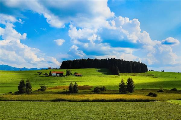 拆除工程的简单版合同。